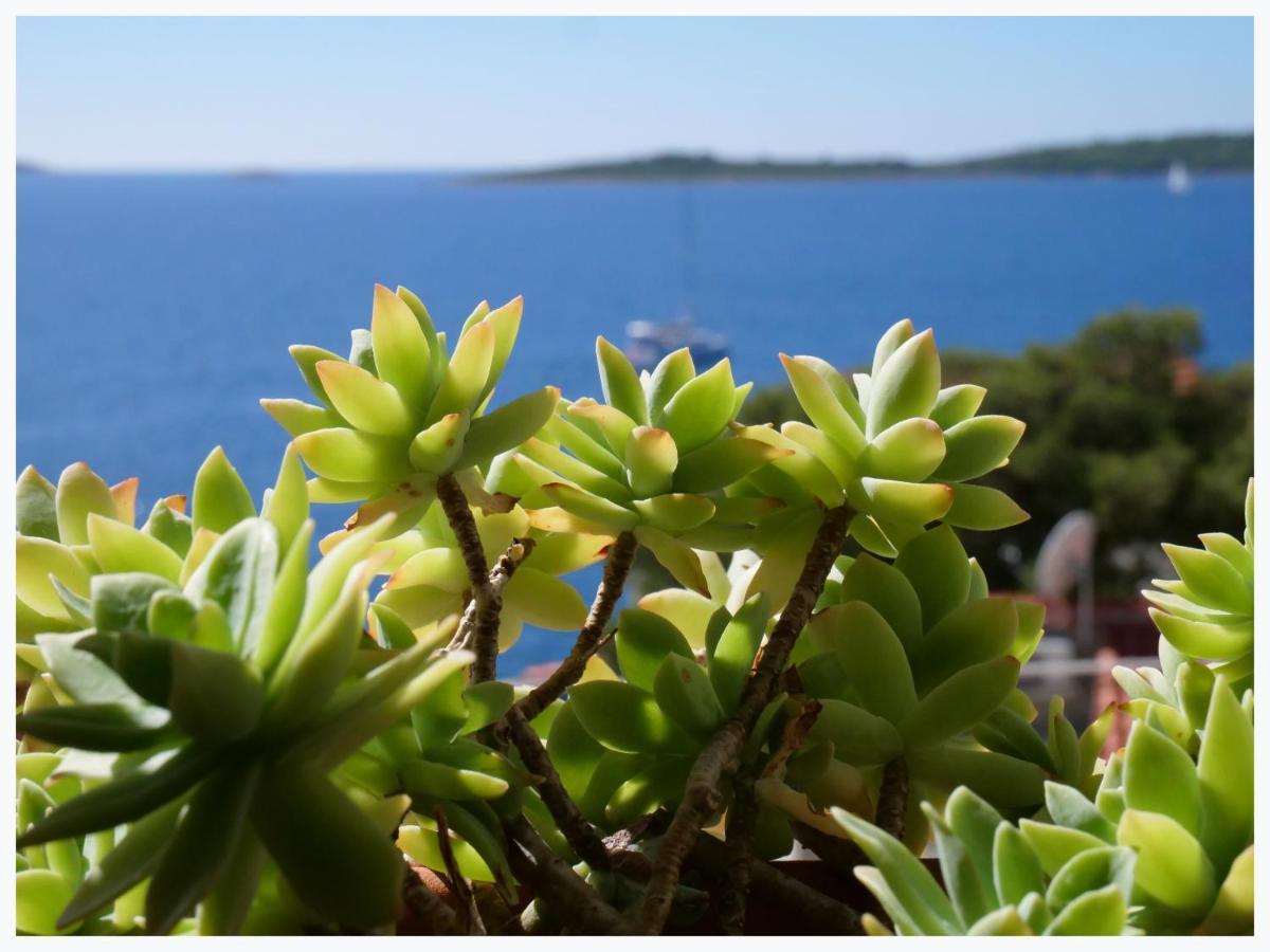 Apartmán The Peninsula Primošten Exteriér fotografie
